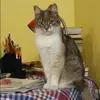 Отзыв от Ангелина Кириллова